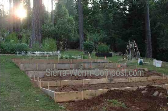 A Garden Layout To Maximize Gardening Success