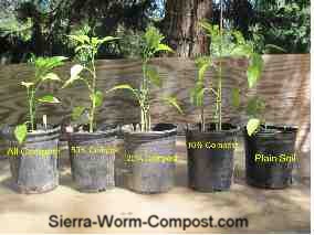 plant growth test