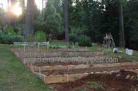 raised bed garden