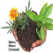 (c) Sierra-worm-compost.com